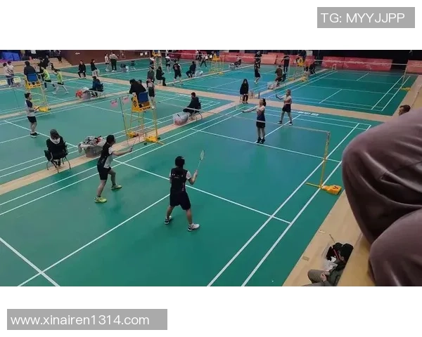 深圳羽毛球队逆袭之路：创新策略与团队精神的完美结合