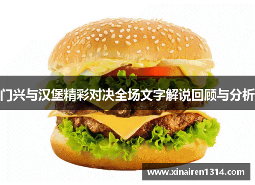 门兴与汉堡精彩对决全场文字解说回顾与分析